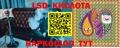 прущие грибы Рязань
